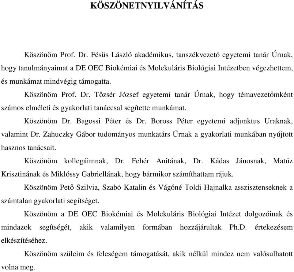 Tızsér József egyetemi tanár Úrnak, hogy témavezetımként számos elméleti és gyakorlati tanáccsal segítette munkámat. Köszönöm Dr. Bagossi Péter és Dr.