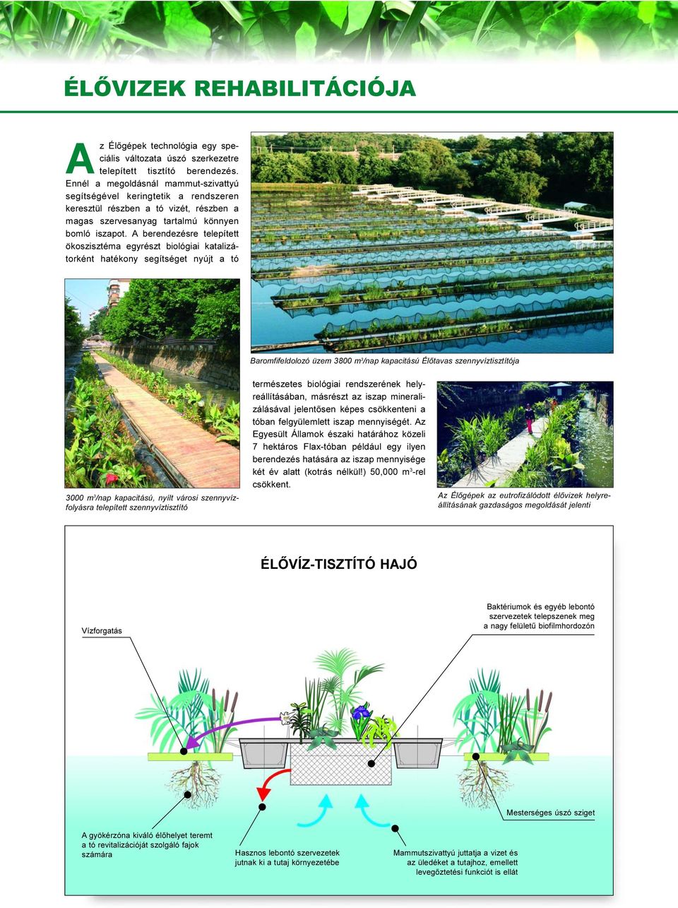 A berendezésre telepített ökoszisztéma egyrészt biológiai katalizátorként hatékony segítséget nyújt a tó Baromfifeldolozó üzem 3800 m 3 /nap kapacitású Élõtavas szennyvíztisztítója 3000 m 3 /nap