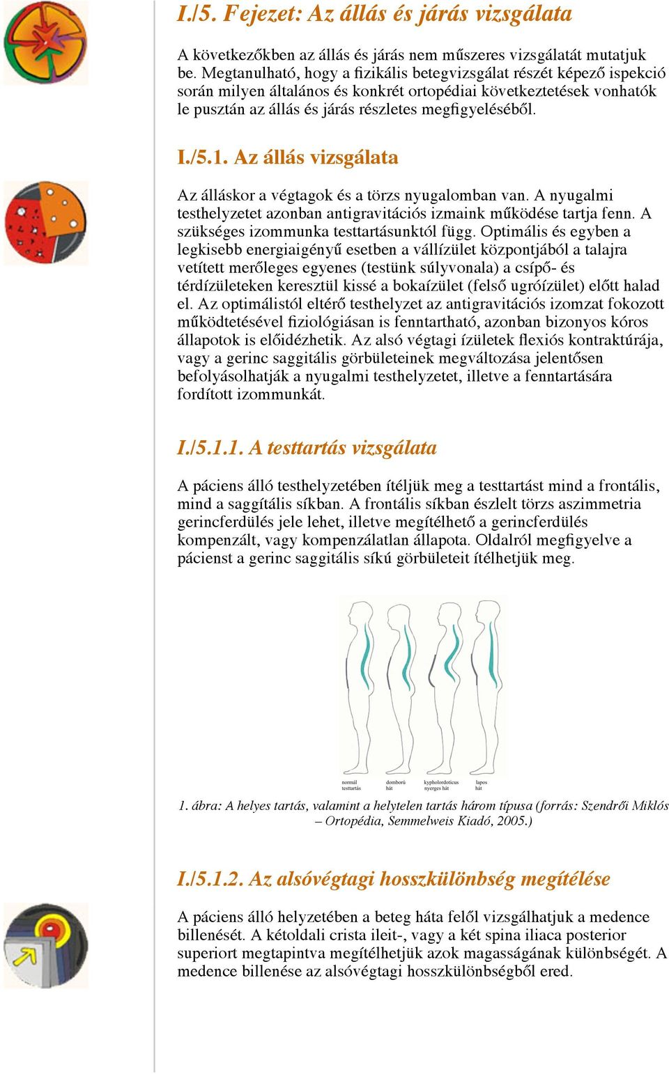 1. Az állás vizsgálata Az álláskor a végtagok és a törzs nyugalomban van. A nyugalmi testhelyzetet azonban antigravitációs izmaink működése tartja fenn. A szükséges izommunka testtartásunktól függ.