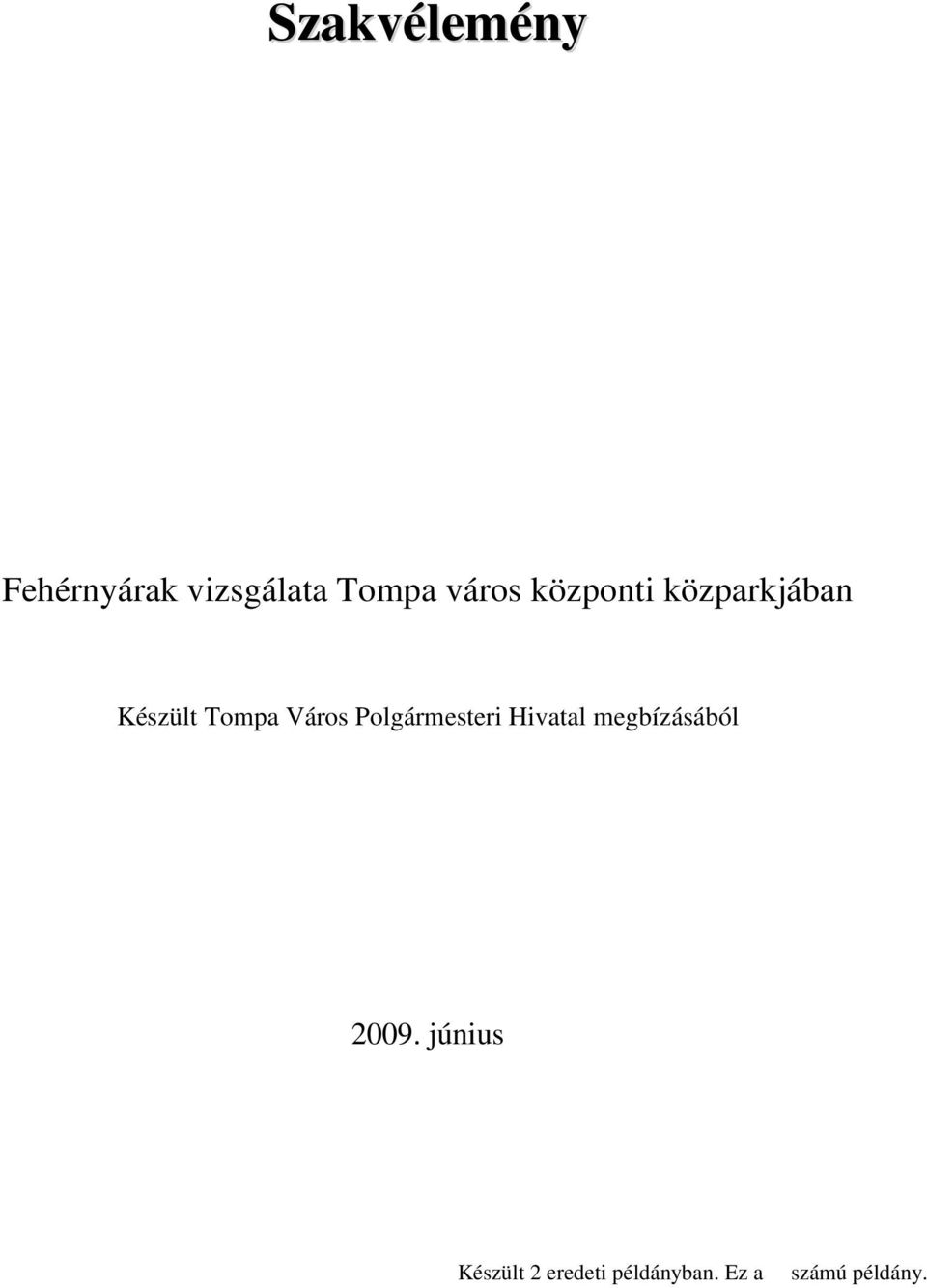 Város Polgármesteri Hivatal megbízásából 2009.