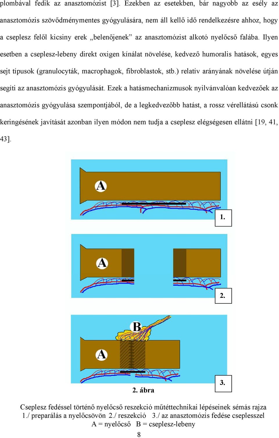 nyel cs falába. Ilyen esetben a cseplesz-lebeny direkt oxigen kínálat növelése, kedvez humoralis hatások, egyes sejt típusok (granulocyták, macrophagok, fibroblastok, stb.