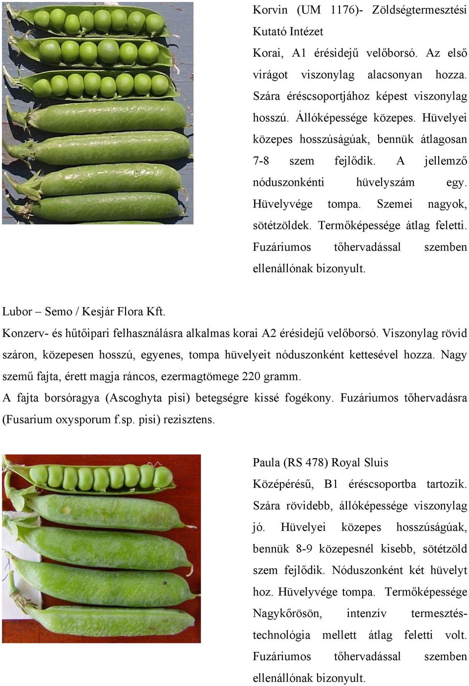 Fuzáriumos tőhervadással szemben ellenállónak bizonyult. Lubor Semo / Kesjár Flora Kft. Konzerv- és i felhasználásra alkalmas korai A2 érésidejű velőborsó.