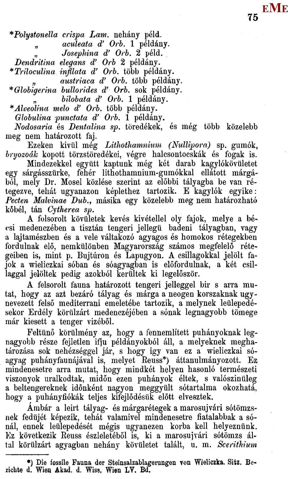 töredékek, és még több közelebb meg nem határozott faj. zeken kivül még Lithothamniimi (NulUpora) sp. gumók, brijozoák kopott törzstöredékei, végre halcsontocskák és fogak is.