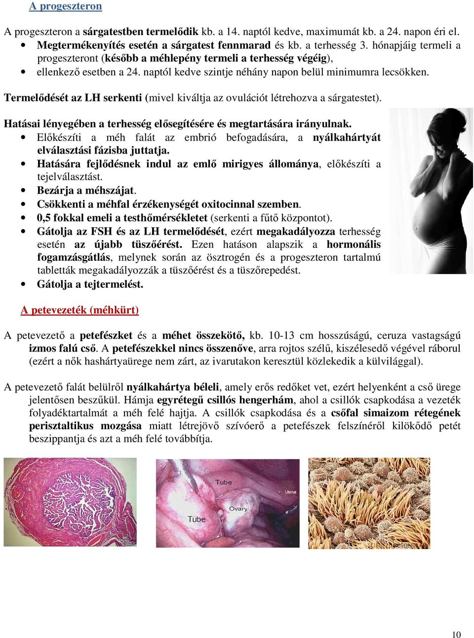 Termelődését az LH serkenti (mivel kiváltja az ovulációt létrehozva a sárgatestet). Hatásai lényegében a terhesség elősegítésére és megtartására irányulnak.