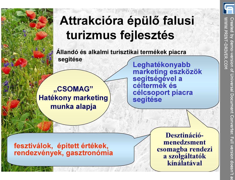 eszközök segítségével a céltermék és célcsoport piacra segítése fesztiválok, épített