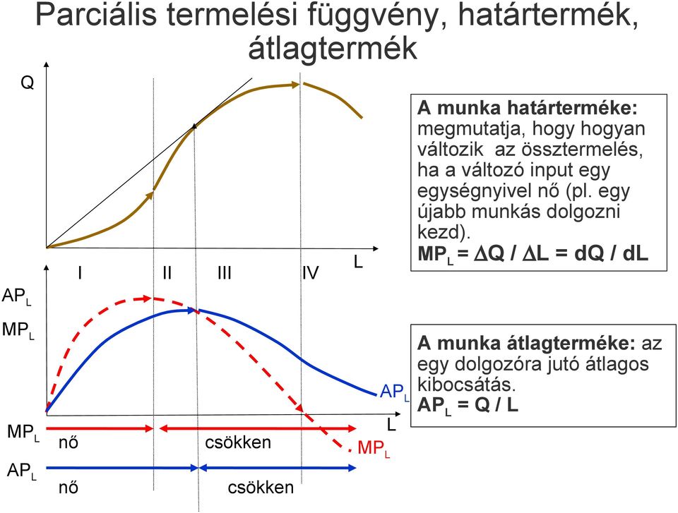 egységnyivel nő (pl. egy újabb munkás dolgozni kezd).