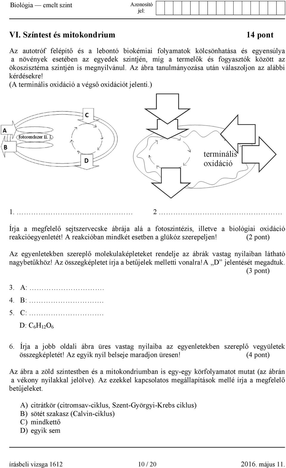 2 Írja a megfelelő sejtszervecske ábrája alá a fotoszintézis, illetve a biológiai oxidáció reakcióegyenletét! A reakcióban mindkét esetben a glükóz szerepeljen!