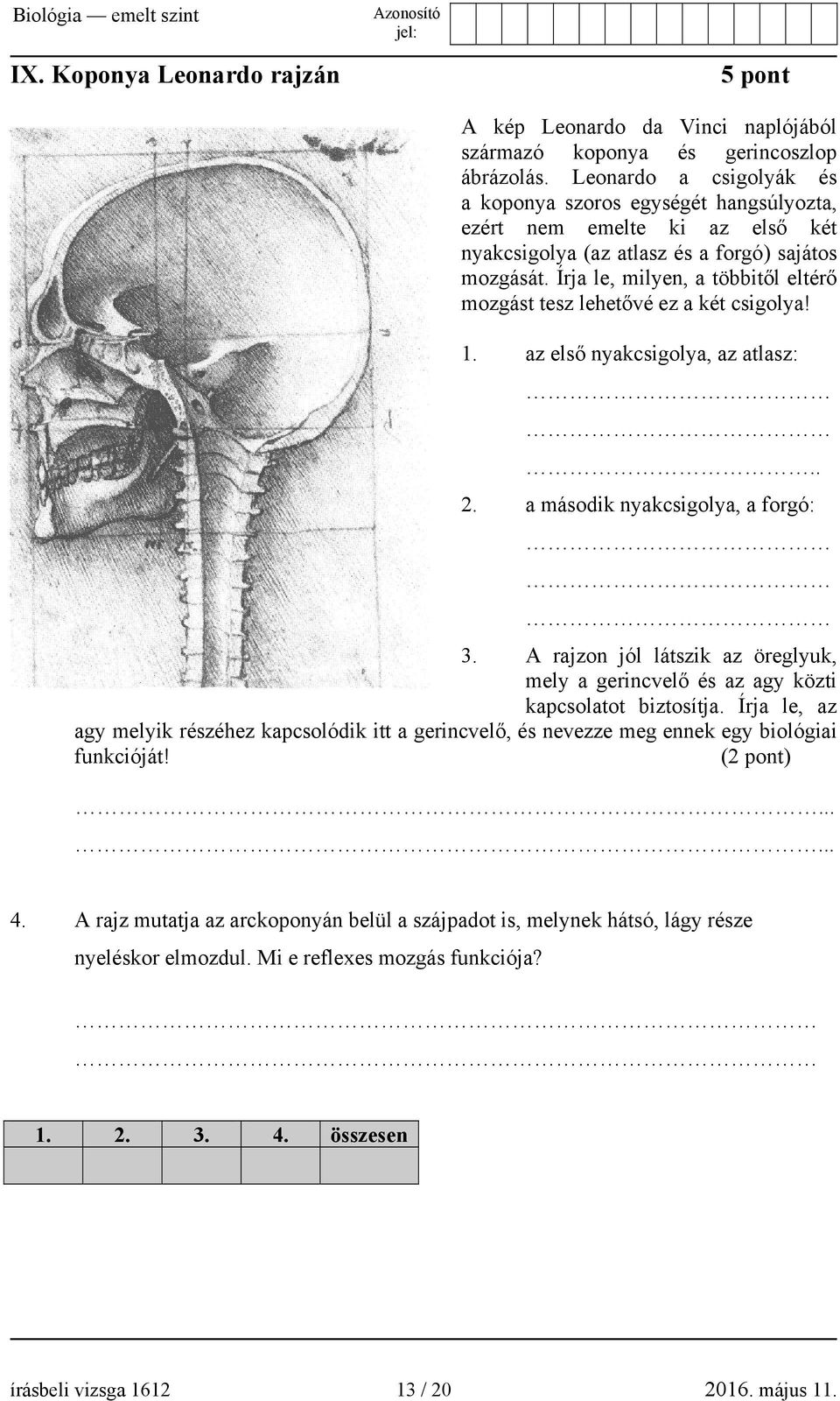 Írja le, milyen, a többitől eltérő mozgást tesz lehetővé ez a két csigolya! 1. az első nyakcsigolya, az atlasz:.. 2. a második nyakcsigolya, a forgó: 3.