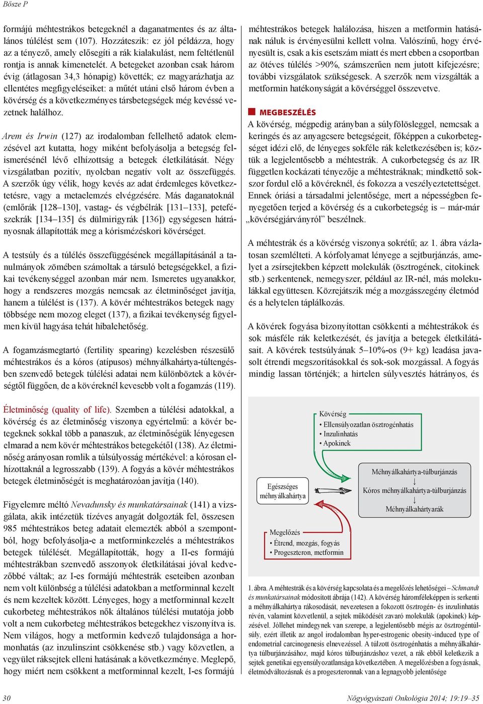 A betegeket azonban csak három évig (átlagosan 34,3 hónapig) követték; ez magyarázhatja az ellentétes megfigyeléseiket: a műtét utáni első három évben a kövérség és a következményes társbetegségek