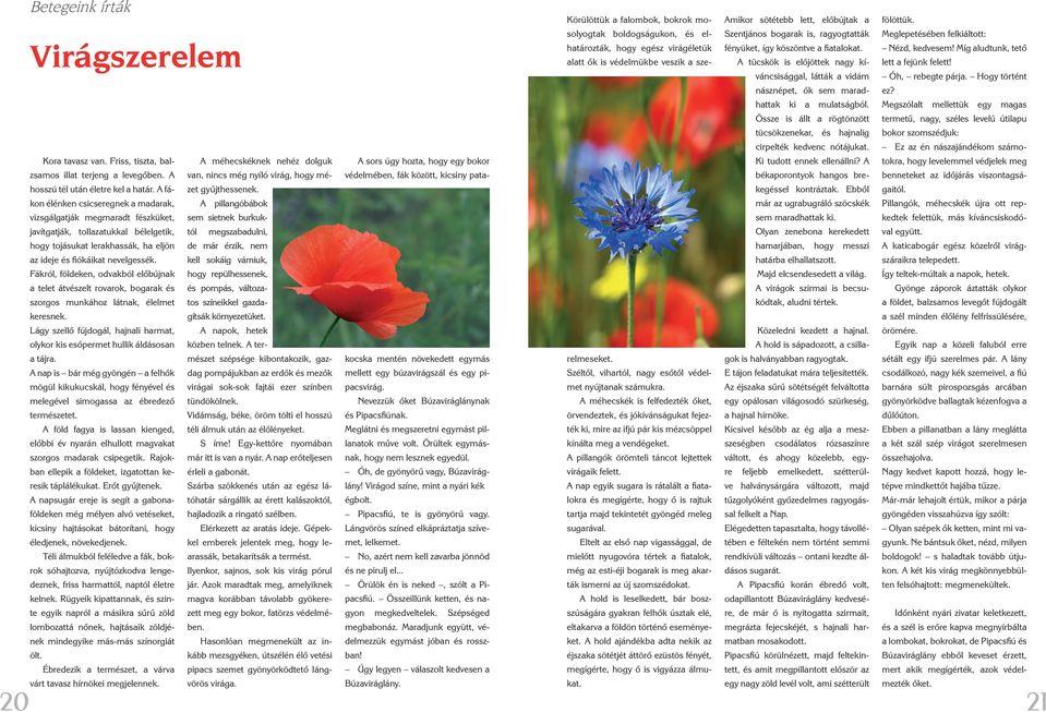 A pillangóbábok sem sietnek burkuktól A sors úgy hozta, hogy egy bokor védelmében, fák között, kicsiny patakocska javítgatják, tollazatukkal bélelgetik, megszabadulni, hogy tojásukat lerakhassák, ha