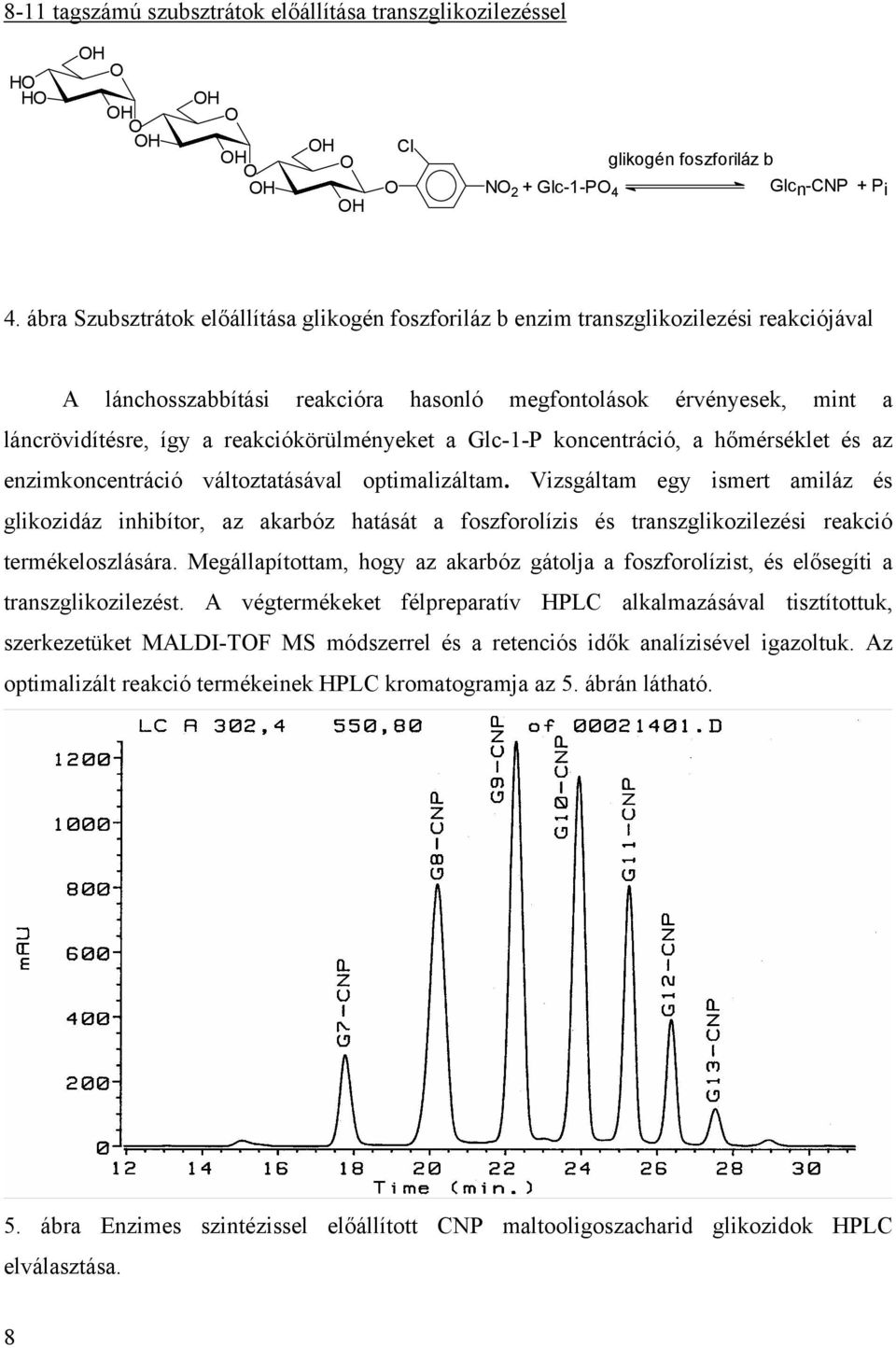 reakciókörülményeket a Glc-1-P koncentráció, a hőmérséklet és az enzimkoncentráció változtatásával optimalizáltam.