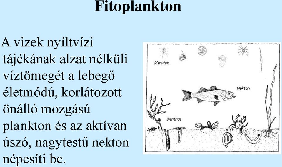 önálló mozgású plankton és az aktívan