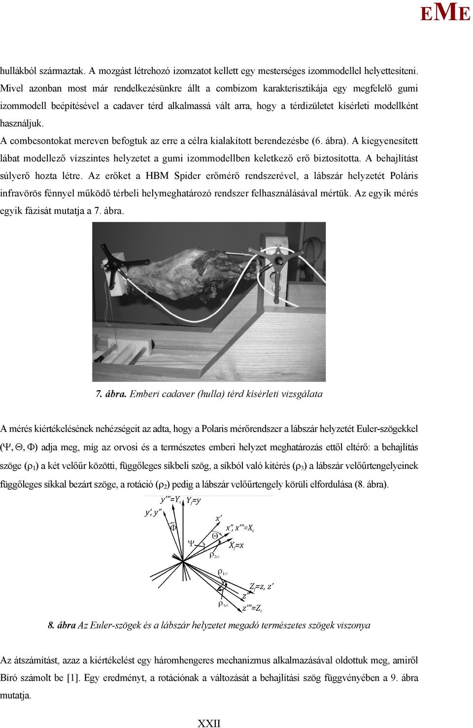 használjuk. A combcsontokat mereven befogtuk az erre a célra kialakított berendezésbe (6. ábra). A kiegyenesített lábat modellező vízszintes helyzetet a gumi izommodellben keletkező erő biztosította.