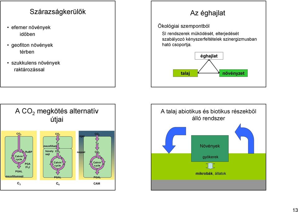 talaj éghajlat növényzet A CO 2 megkötés alternatív útjai A talaj abiotikus és biotikus részekből álló rendszer CO 2 CO 2 éjjel CO 2