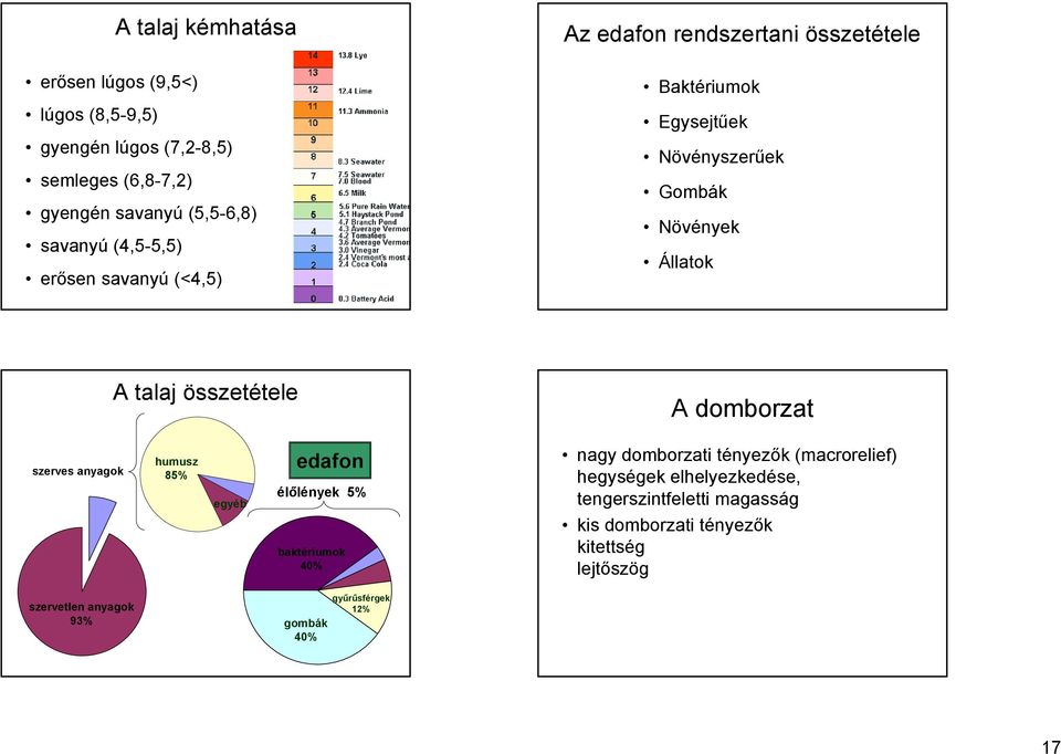 összetétele A domborzat szerves anyagok humusz 85% egyéb edafon élőlények 5% nagy domborzati tényezők (macrorelief) hegységek