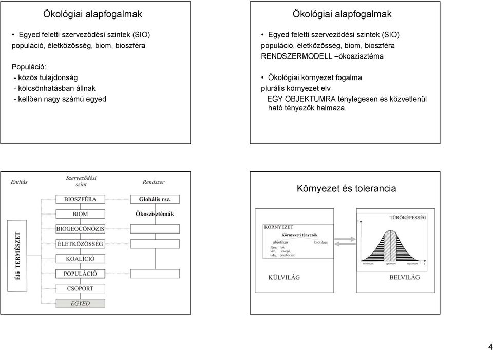 szerveződési szintek (SIO) populáció, életközösség, biom, bioszféra RENDSZERMODELL ökoszisztéma Ökológiai környezet