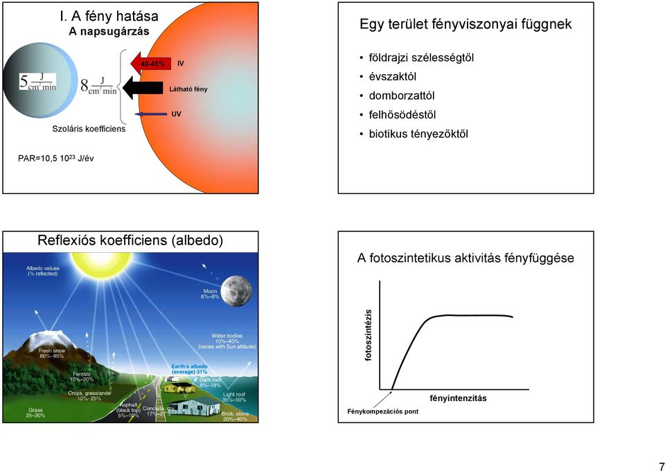 domborzattól felhősödéstől biotikus tényezőktől PAR=10,5 10 23 J/év Reflexiós