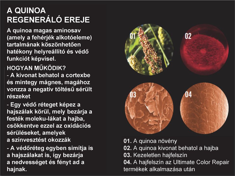 moleku-lákat a hajba, csökkentve ezzel az oxidációs sérüléseket, amelyek a színvesztést okozzák - A véd réteg egyben simítja is a hajszálakat is, így bezárja a