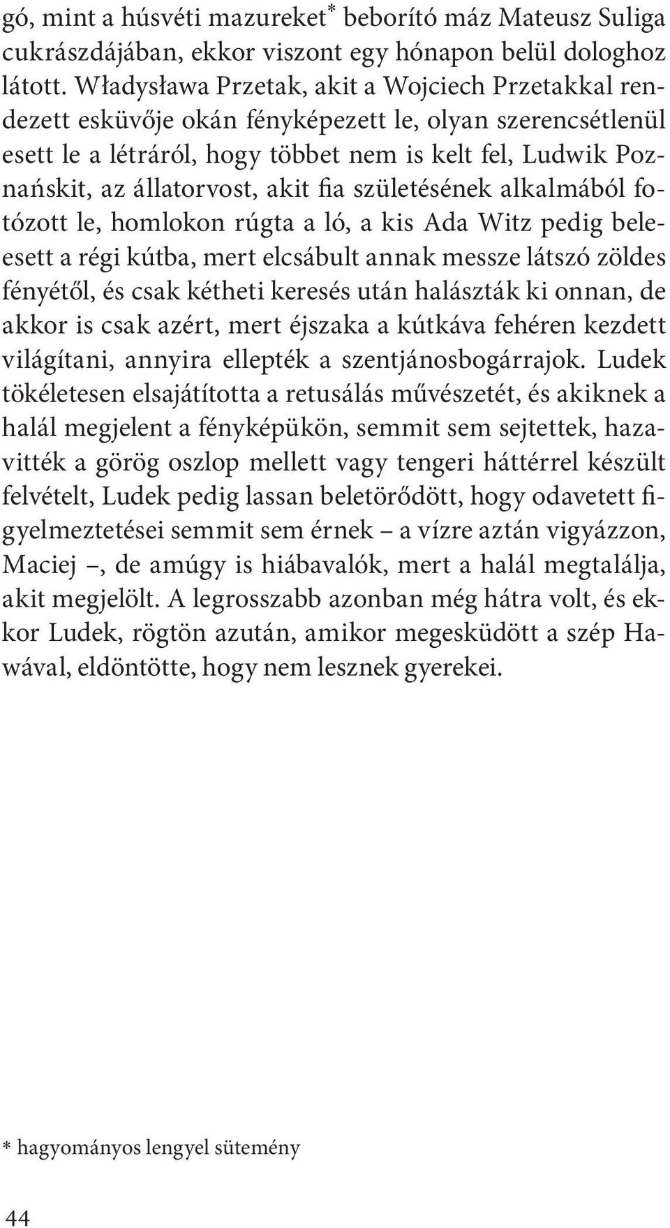 fia születésének alkalmából fotózott le, homlokon rúgta a ló, a kis Ada Witz pedig beleesett a régi kútba, mert elcsábult annak messze látszó zöldes fényétől, és csak kétheti keresés után halászták