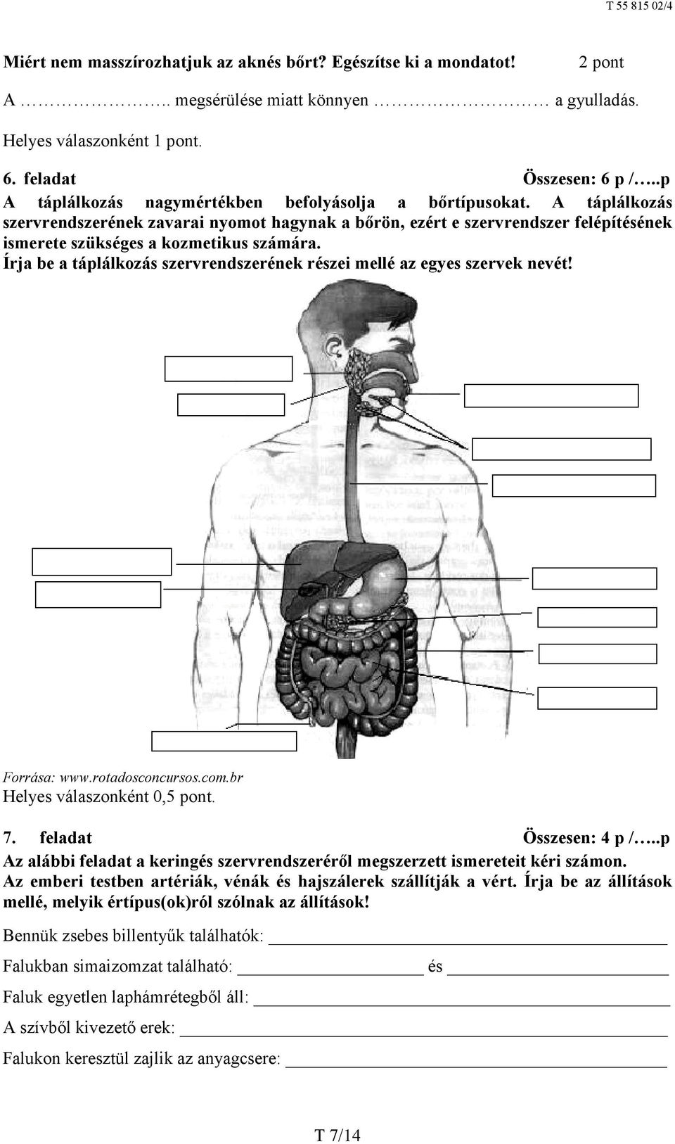 Írja be a táplálkozás szervrendszerének részei mellé az egyes szervek nevét! Forrása: www.rotadosconcursos.com.br 7. feladat Összesen: 4 p /.