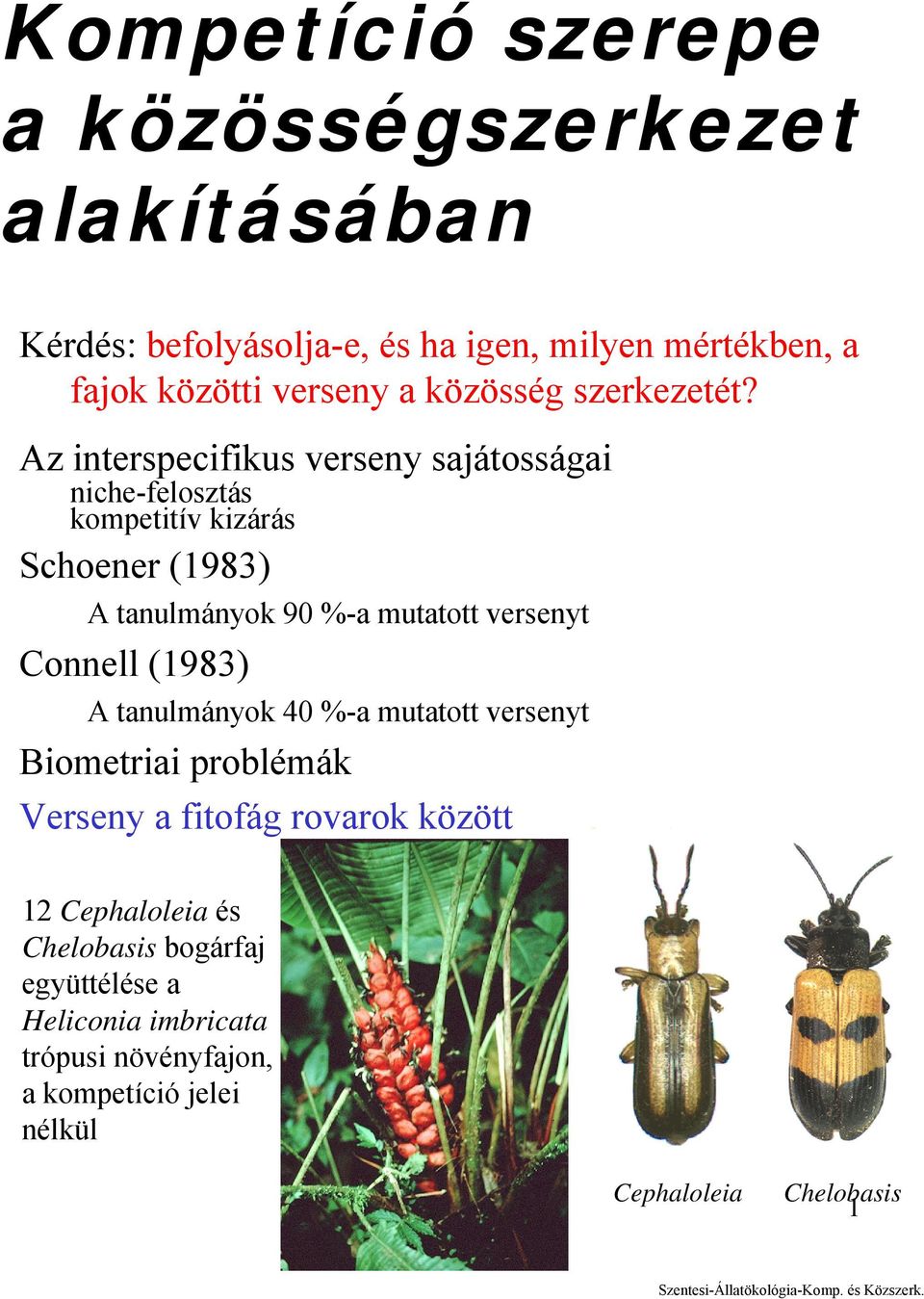 Az interspecifikus verseny sajátosságai niche-felosztás kompetitív kizárás Schoener (1983) A tanulmányok 90 %-a mutatott versenyt