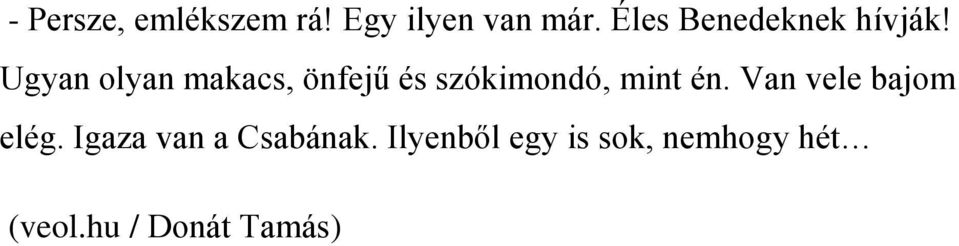 Ugyan olyan makacs, önfejű és szókimondó, mint én.