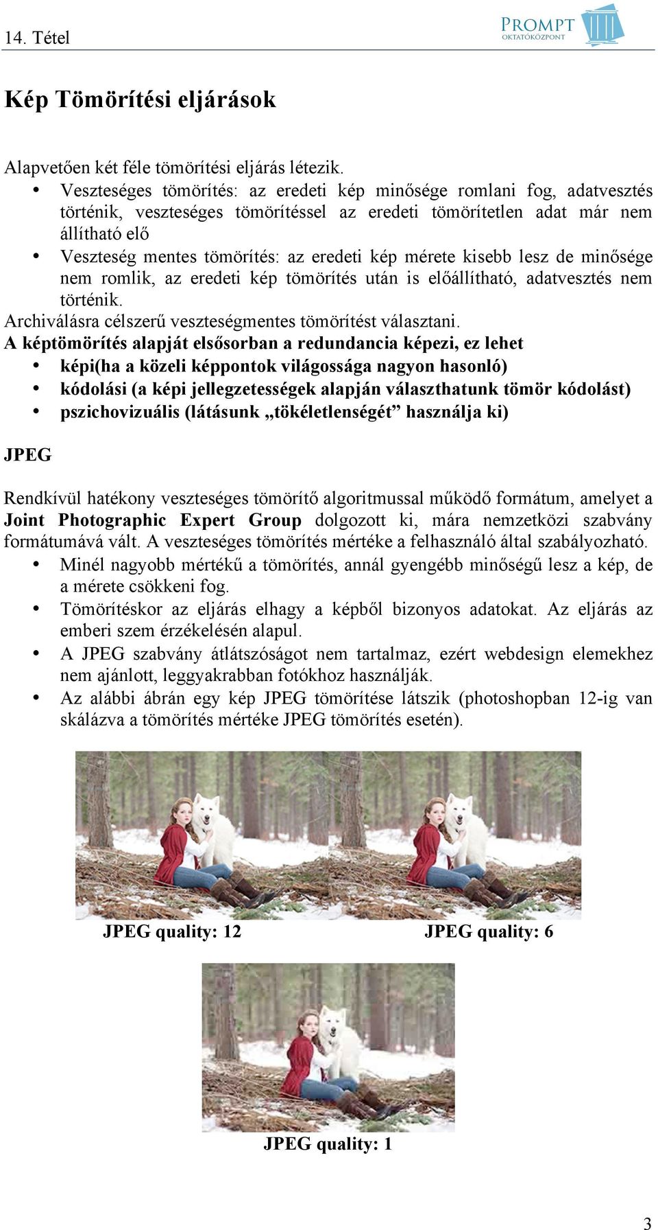 kép mérete kisebb lesz de minősége nem romlik, az eredeti kép tömörítés után is előállítható, adatvesztés nem történik. Archiválásra célszerű veszteségmentes tömörítést választani.