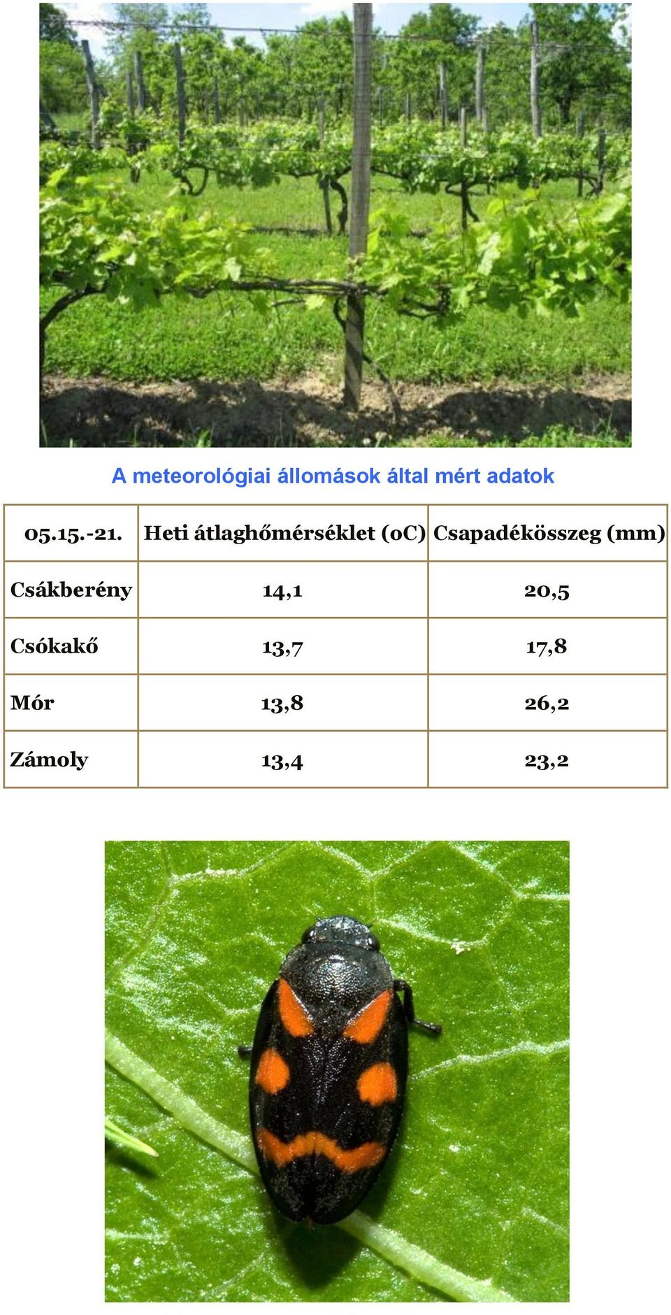 Heti átlaghőmérséklet (oc) Csapadékösszeg