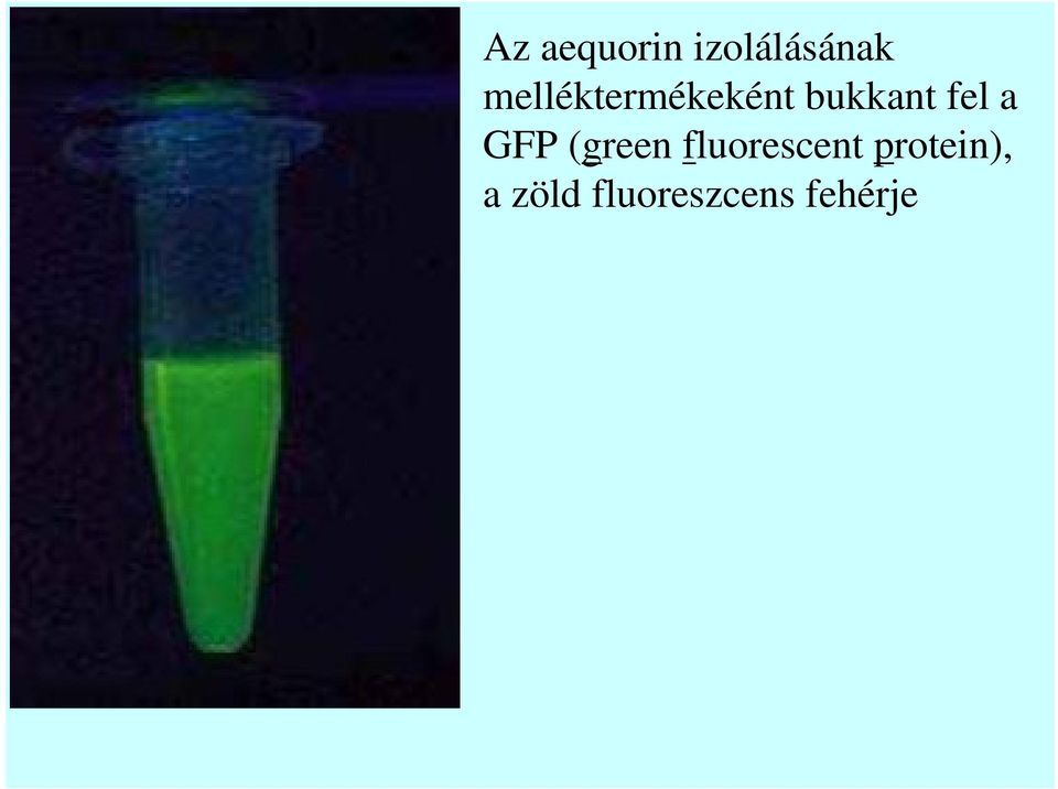a GFP (green fluorescent