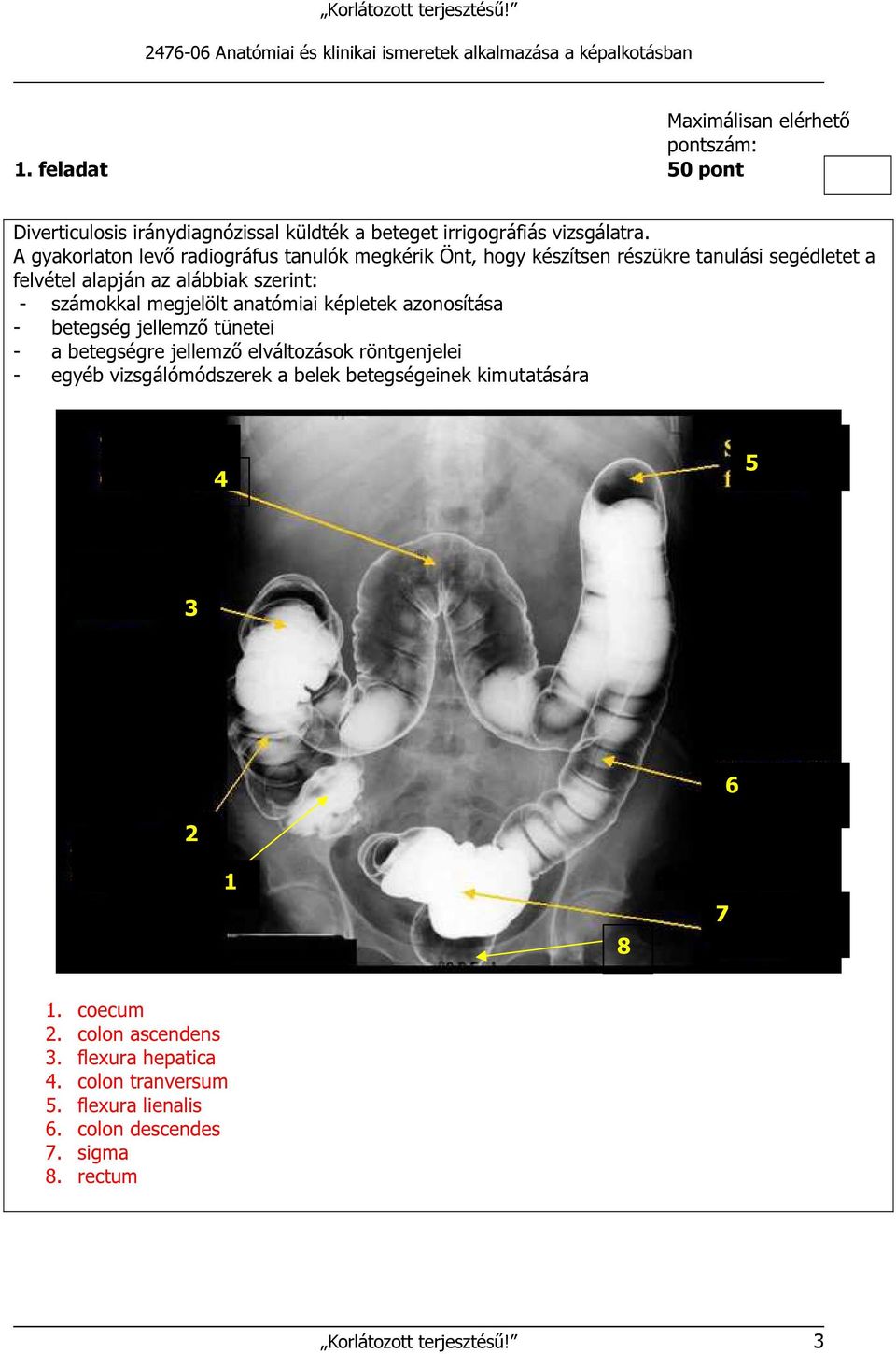 megjelölt anatómiai képletek azonosítása - betegség jellemző tünetei - a betegségre jellemző elváltozások röntgenjelei - egyéb vizsgálómódszerek a belek