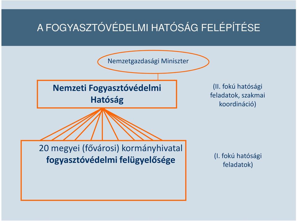 fokú hatósági feladatok, szakmai koordináció) 20 megyei