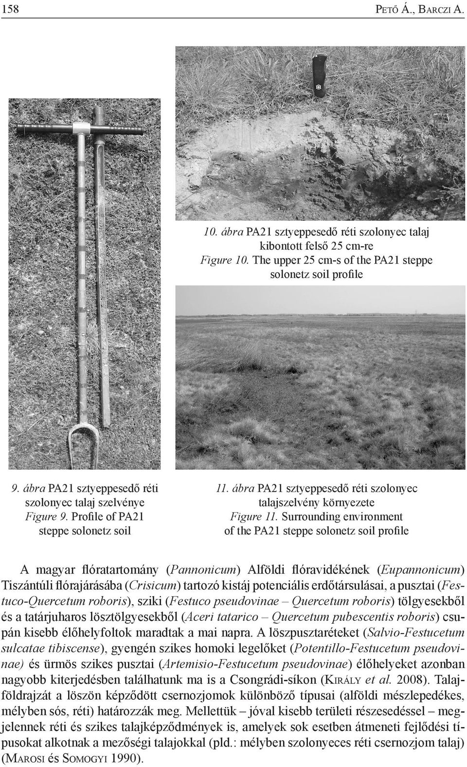 Surrounding environment of the PA21 steppe solonetz soil profile A magyar flóratartomány (Pannonicum) Alföldi flóravidékének (Eupannonicum) Tiszántúli flórajárásába (Crisicum) tartozó kistáj