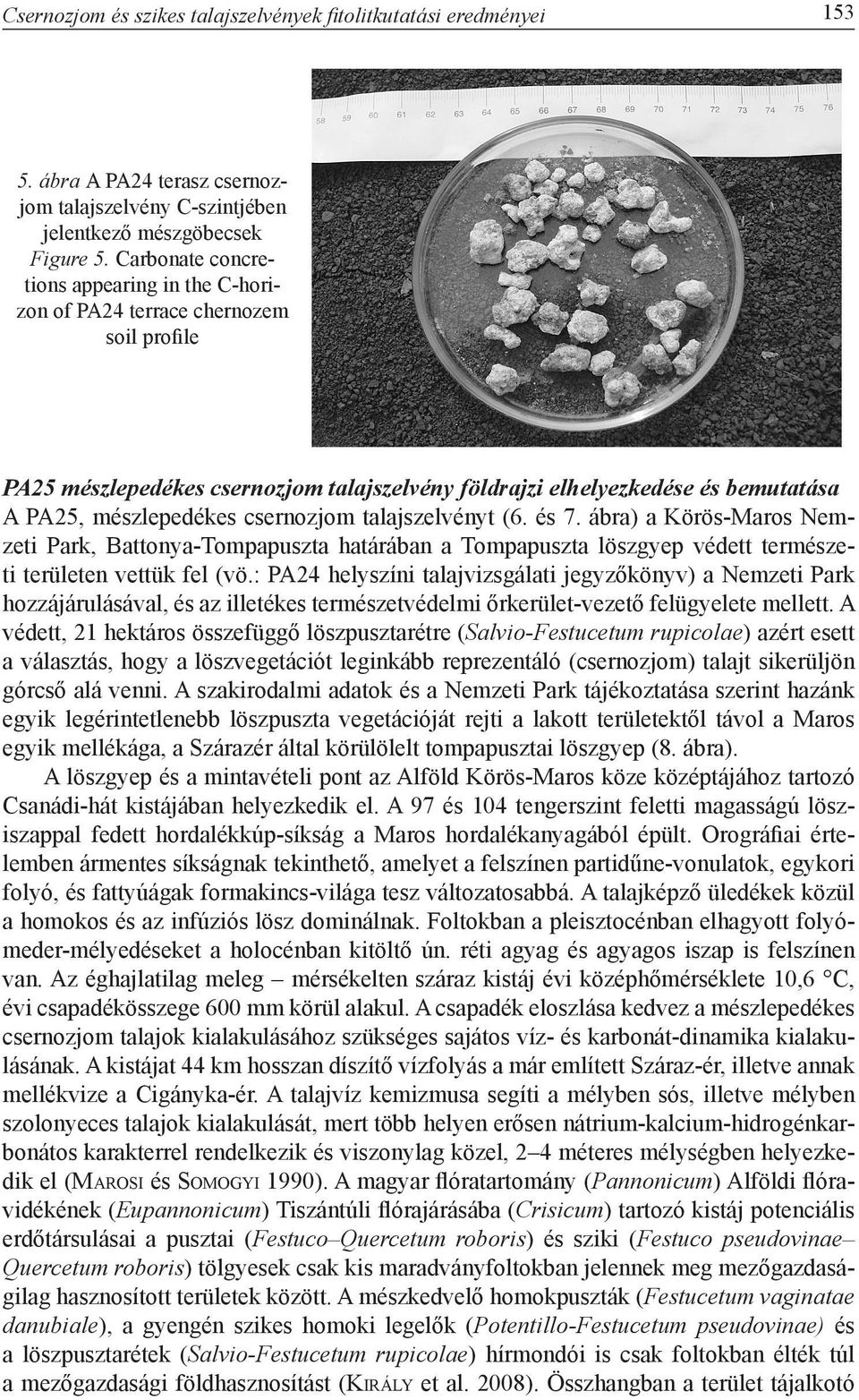 csernozjom talajszelvényt (6. és 7. ábra) a Körös-Maros Nemzeti Park, Battonya-Tompapuszta határában a Tompapuszta löszgyep védett természeti területen vettük fel (vö.