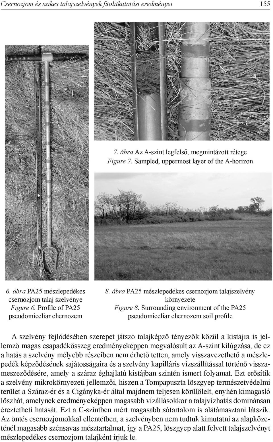 Surrounding environment of the PA25 pseudomiceliar chernozem soil profile A szelvény fejlődésében szerepet játszó talajképző tényezők közül a kistájra is jellemző magas csapadékösszeg eredményeképpen