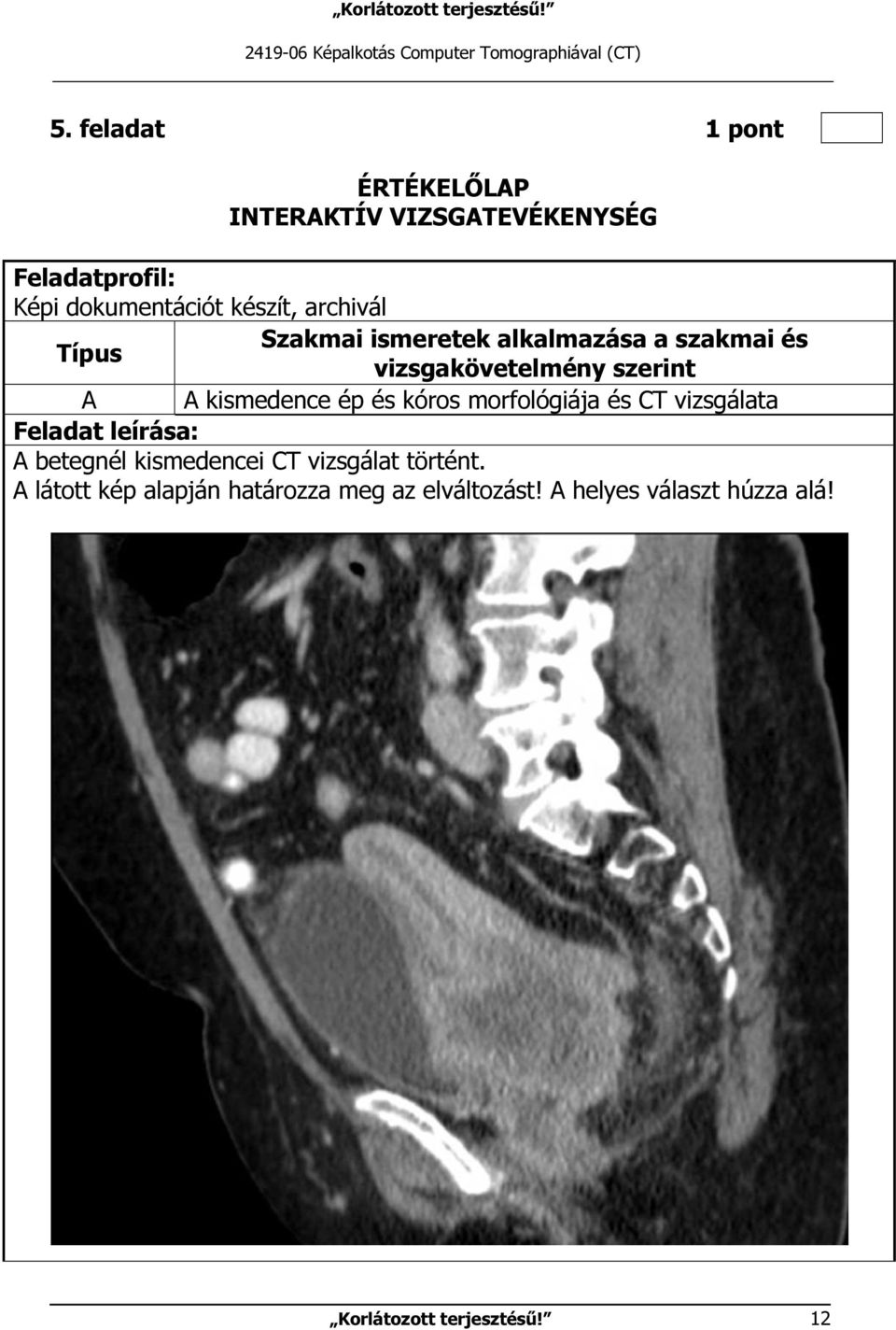 ismeretek alkalmazása a szakmai és Típus vizsgakövetelmény szerint A A kismedence ép és kóros morfológiája és CT