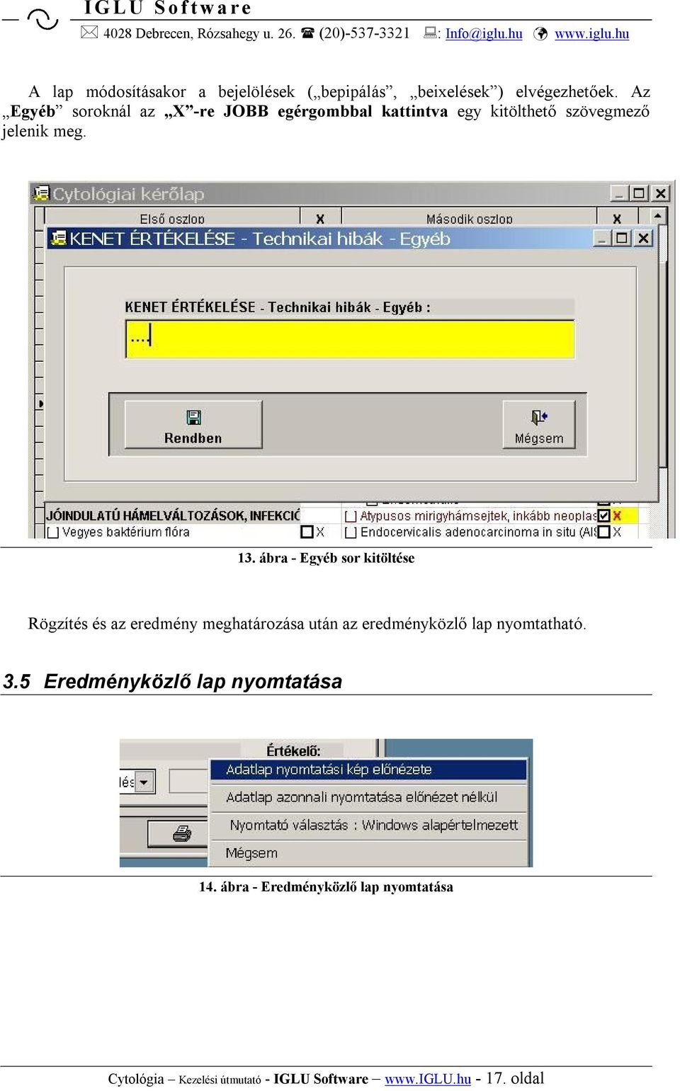 ábra - Egyéb sor kitöltése Rögzítés és az eredmény meghatározása után az eredményközlő lap nyomtatható.