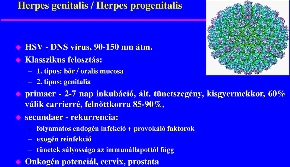 tünetszegény, kisgyermekkor, 60% válik carrierré, felnőttkorra 85-90%, secundaer - rekurrencia: