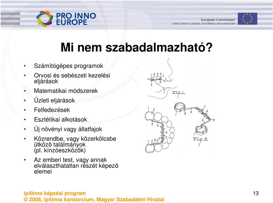 módszerek Üzleti eljárások Felfedezések Esztétikai alkotások Új növényi vagy