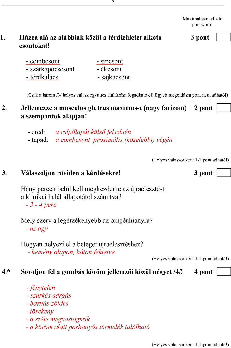 Jellemezze a musculus gluteus maximus-t (nagy farizom) 2 pont a szempontok alapján! - ered: a csípılapát külsı felszínén - tapad: a combcsont proximális (közelebbi) végén 3.