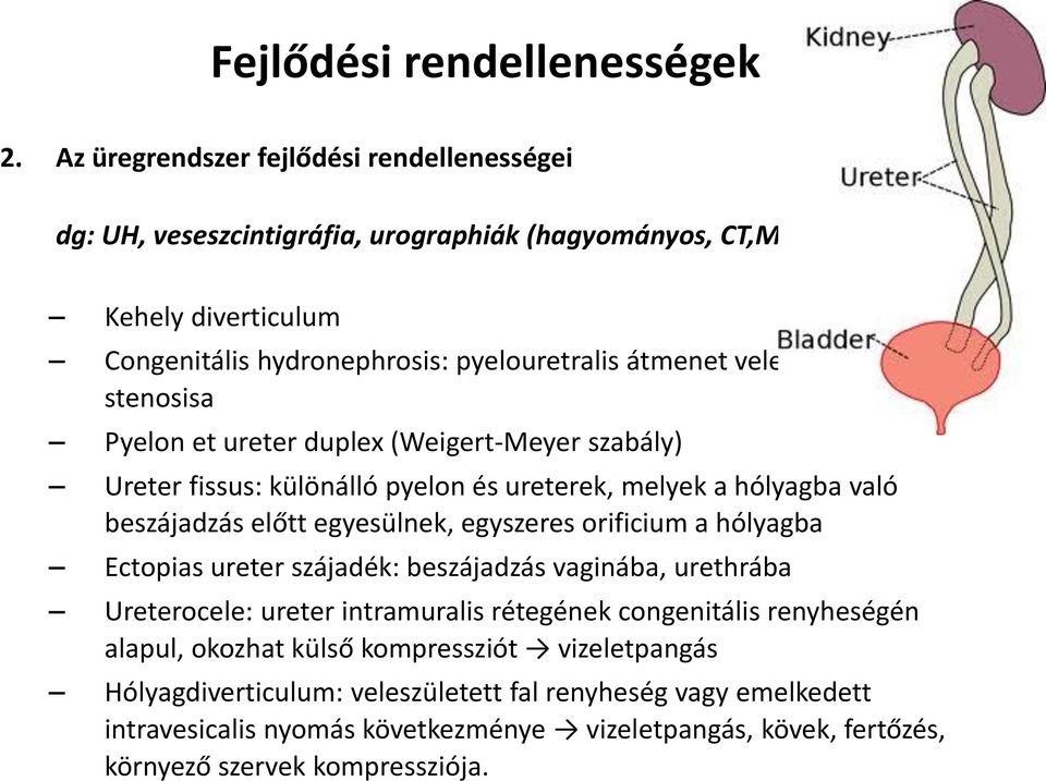 veleszületett stenosisa Pyelon et ureter duplex (Weigert-Meyer szabály) Ureter fissus: különálló pyelon és ureterek, melyek a hólyagba való beszájadzás előtt egyesülnek, egyszeres