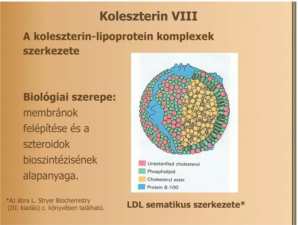 szteroidok bioszintézisének alapanyaga. *Az ábra L.