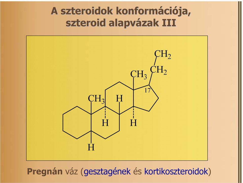 III 2 3 2 3 17 Pregnán váz