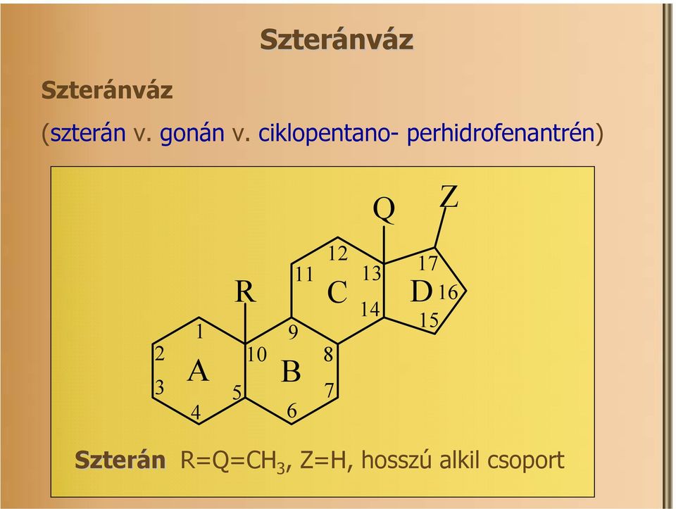 ciklopentano- perhidrofenantrén) Q Z 2 3 1
