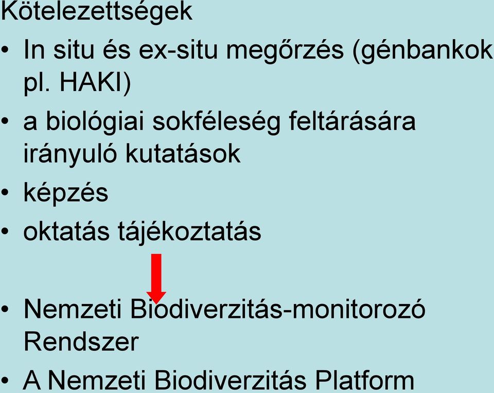 kutatások képzés oktatás tájékoztatás Nemzeti