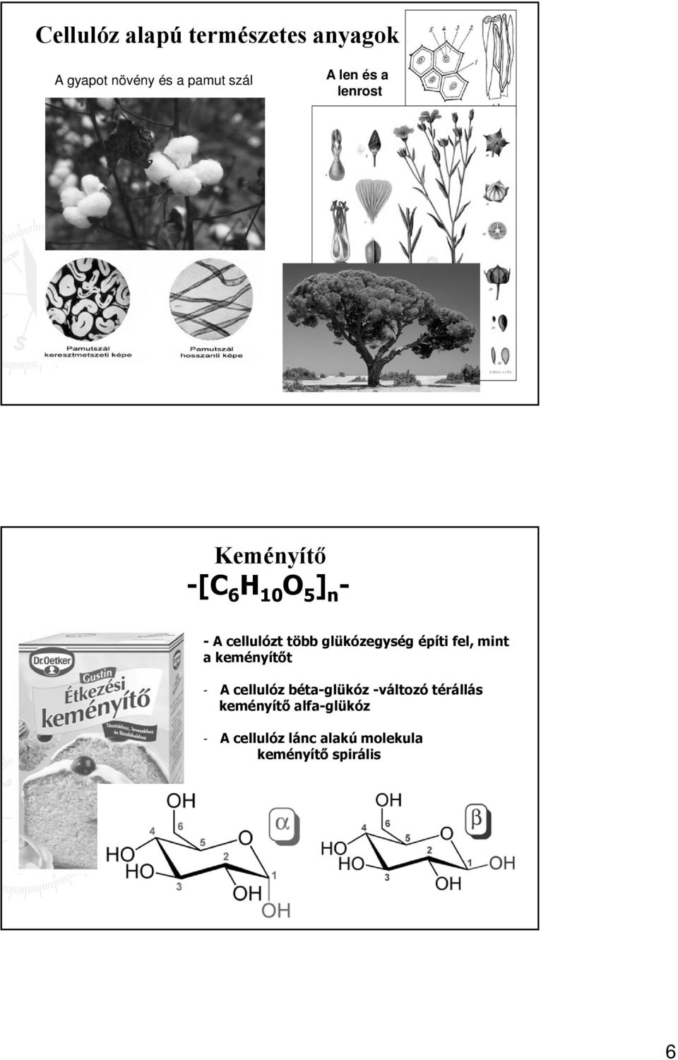 fel, mint a keményítőt - A cellulóz béta-glükóz -változó térállás