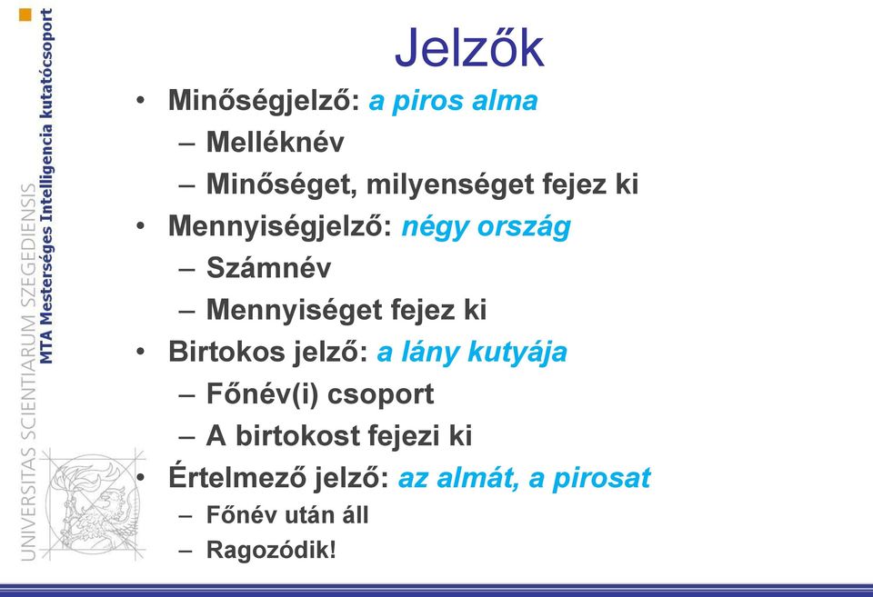 Birtokos jelző: a lány kutyája Főnév(i) csoport A birtokost fejezi