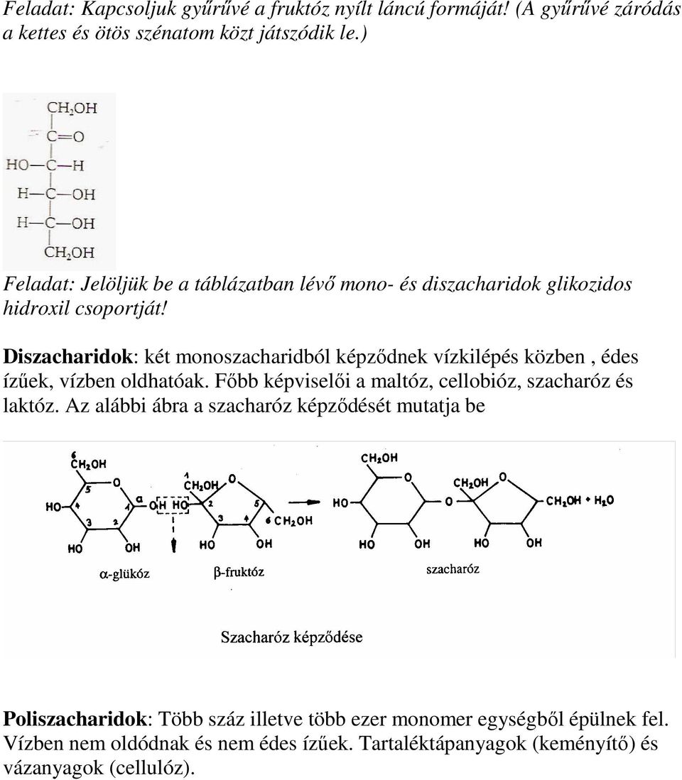 Diszacharidok: két monoszacharidból képződnek vízkilépés közben, édes ízűek, vízben oldhatóak.