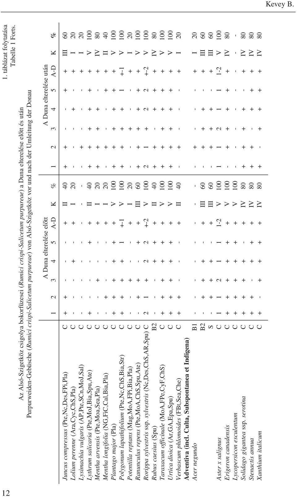 der Umleitung der Donau 1. táblázat folytatása Tabelle 1 Forts.