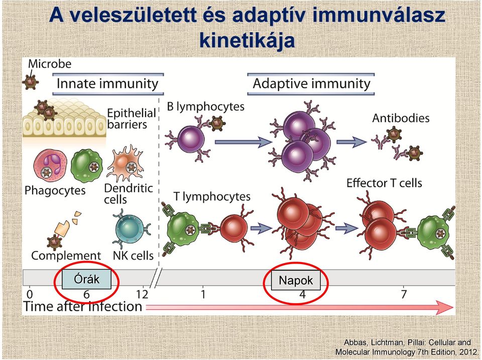 Abbas, Lichtman, Pillai: Cellular