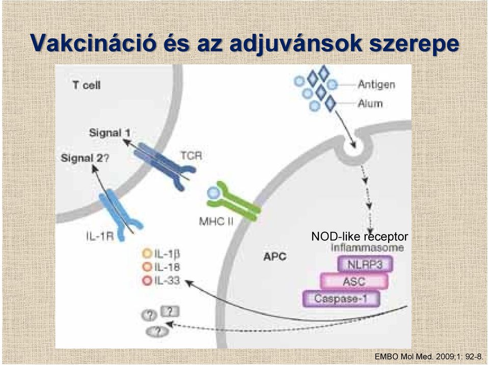 NOD-like receptor